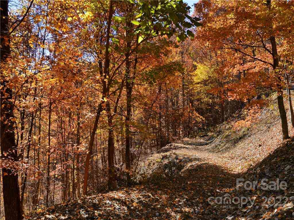 Lot #25 Utah Mountain Road, Waynesville, North Carolina image 7