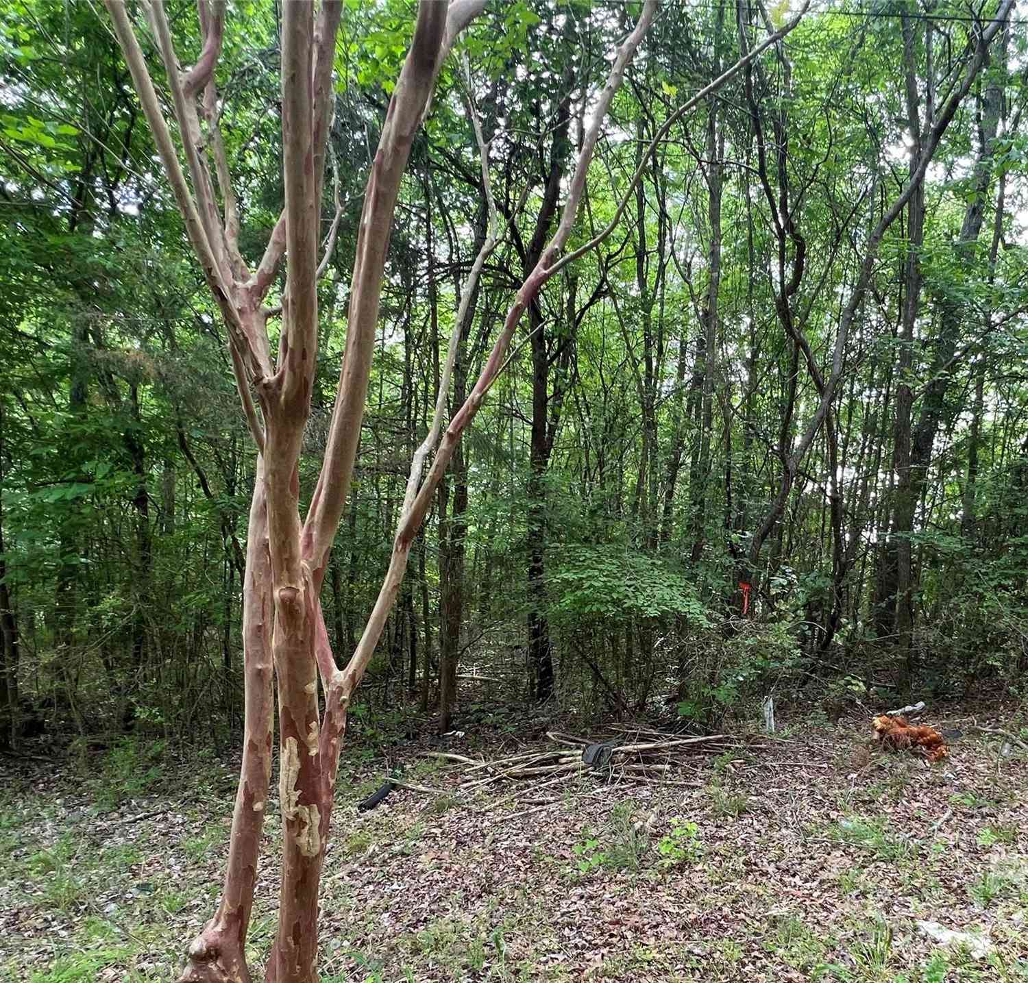 1630 Riddle Extension, Clover, South Carolina image 8