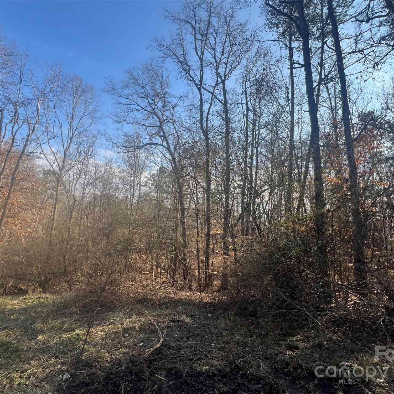 1630 Riddle Extension, Clover, South Carolina image 15