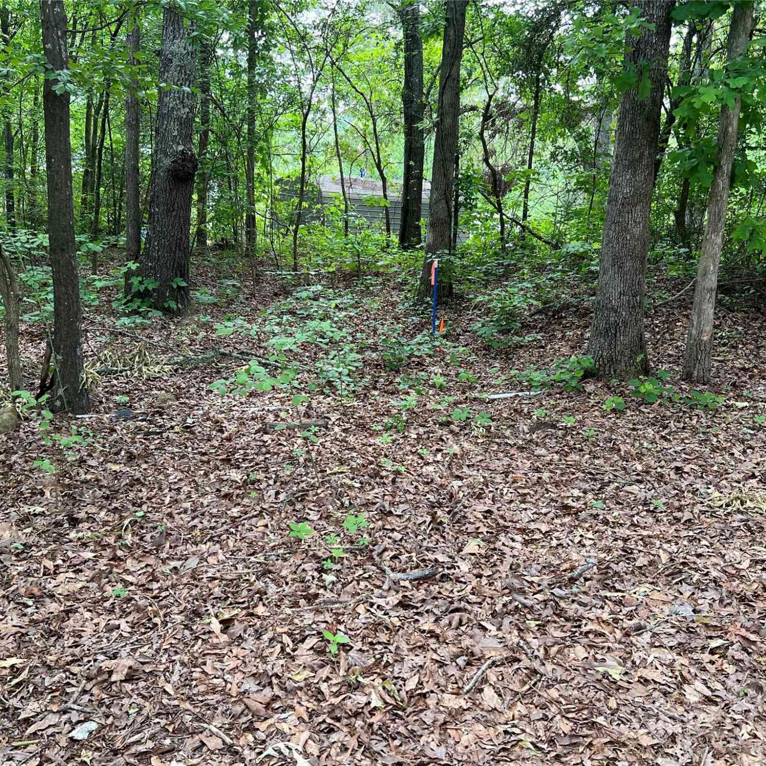 1630 Riddle Extension, Clover, South Carolina image 7