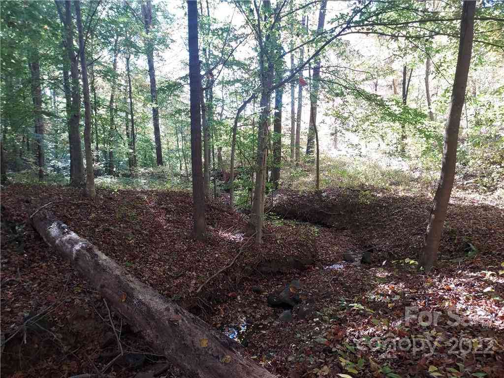 5 Acres Skyuka Road, Columbus, North Carolina image 3