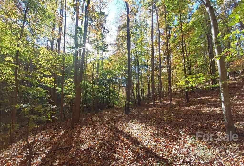 5 Acres Skyuka Road, Columbus, North Carolina image 6