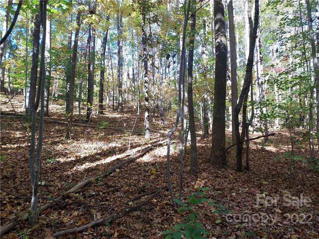 5 Acres Skyuka Road, Columbus, North Carolina image 7