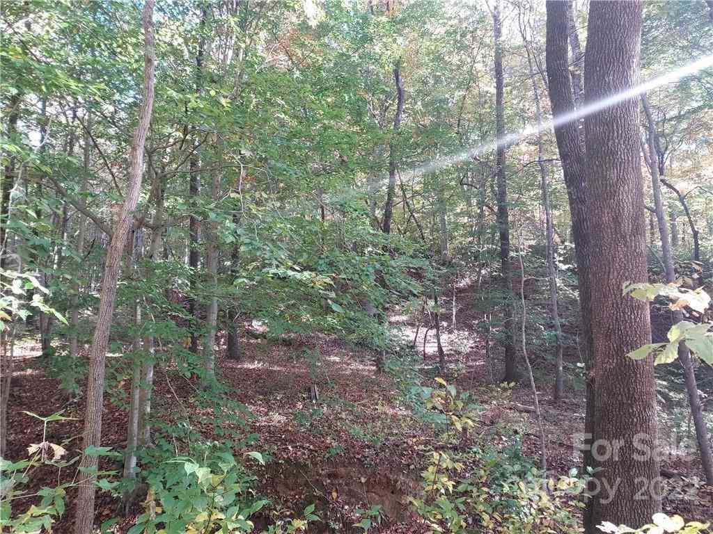 5 Acres Skyuka Road, Columbus, North Carolina image 24