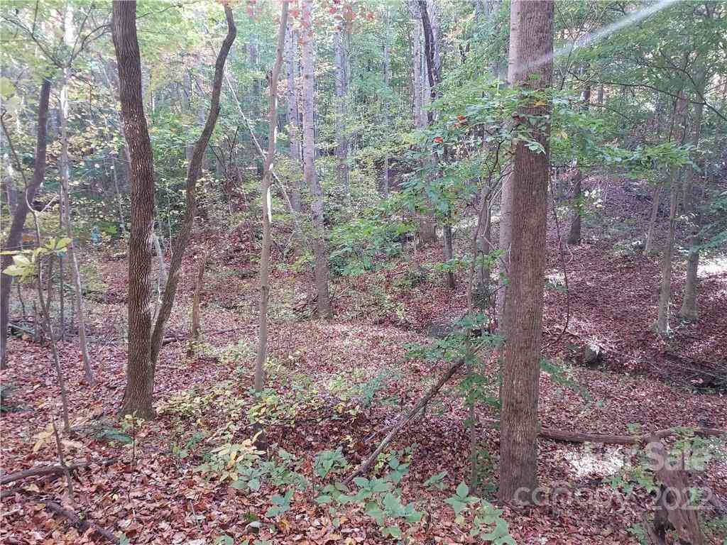 5 Acres Skyuka Road, Columbus, North Carolina image 14