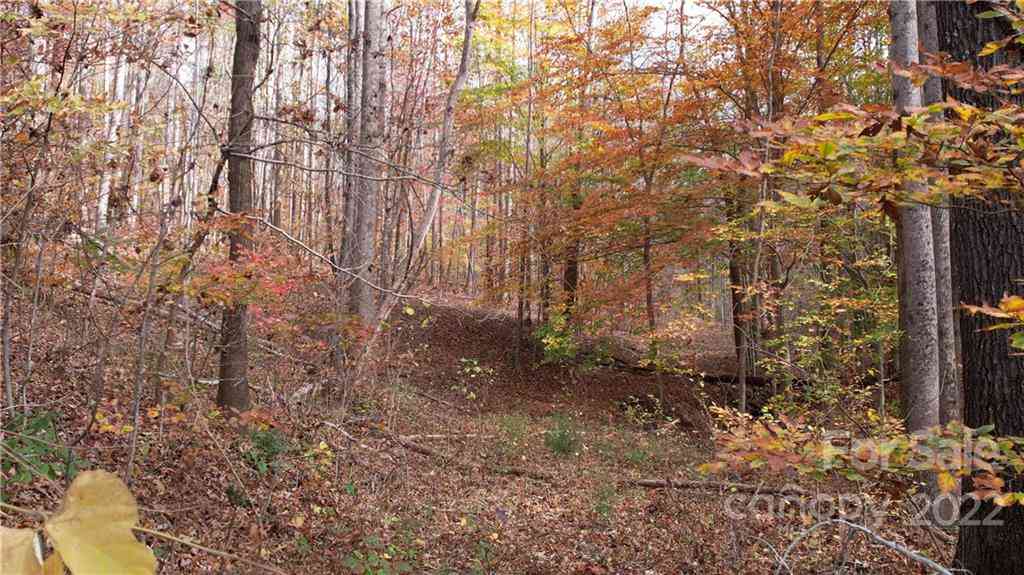 5 Acres Skyuka Road, Columbus, North Carolina image 33