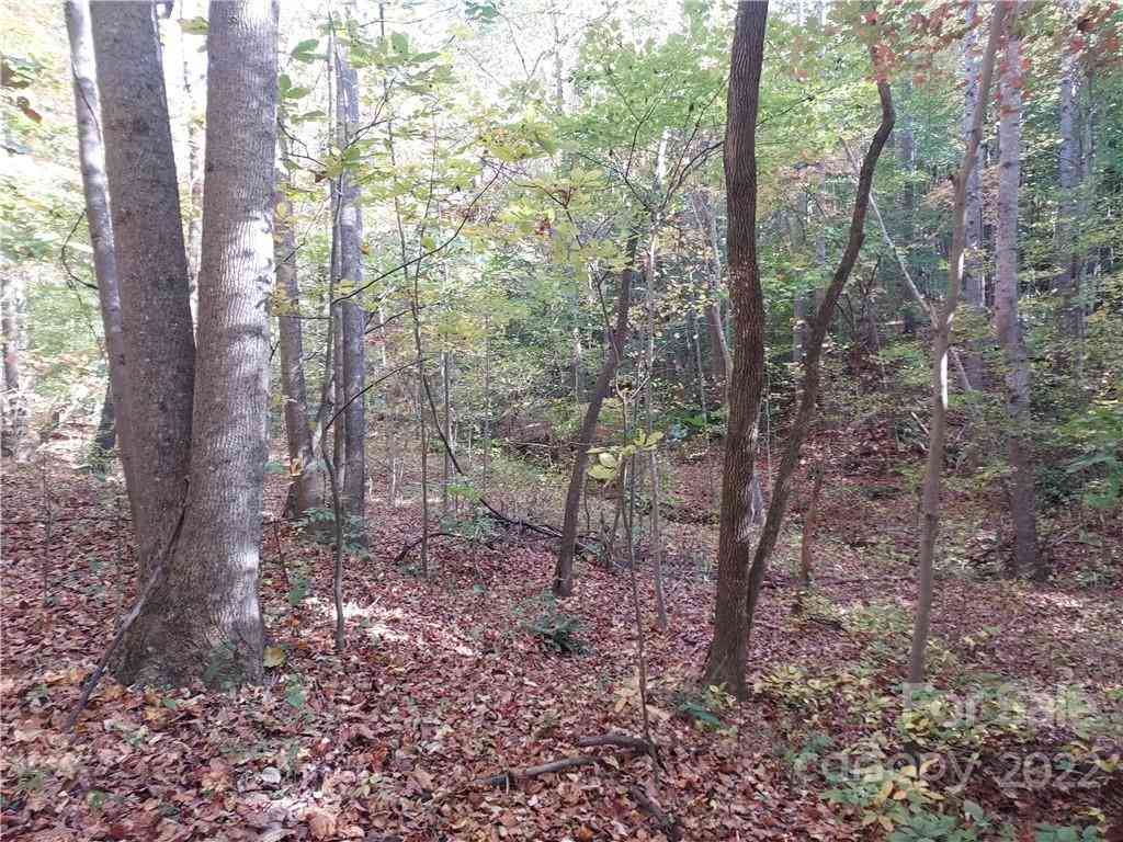 5 Acres Skyuka Road, Columbus, North Carolina image 15