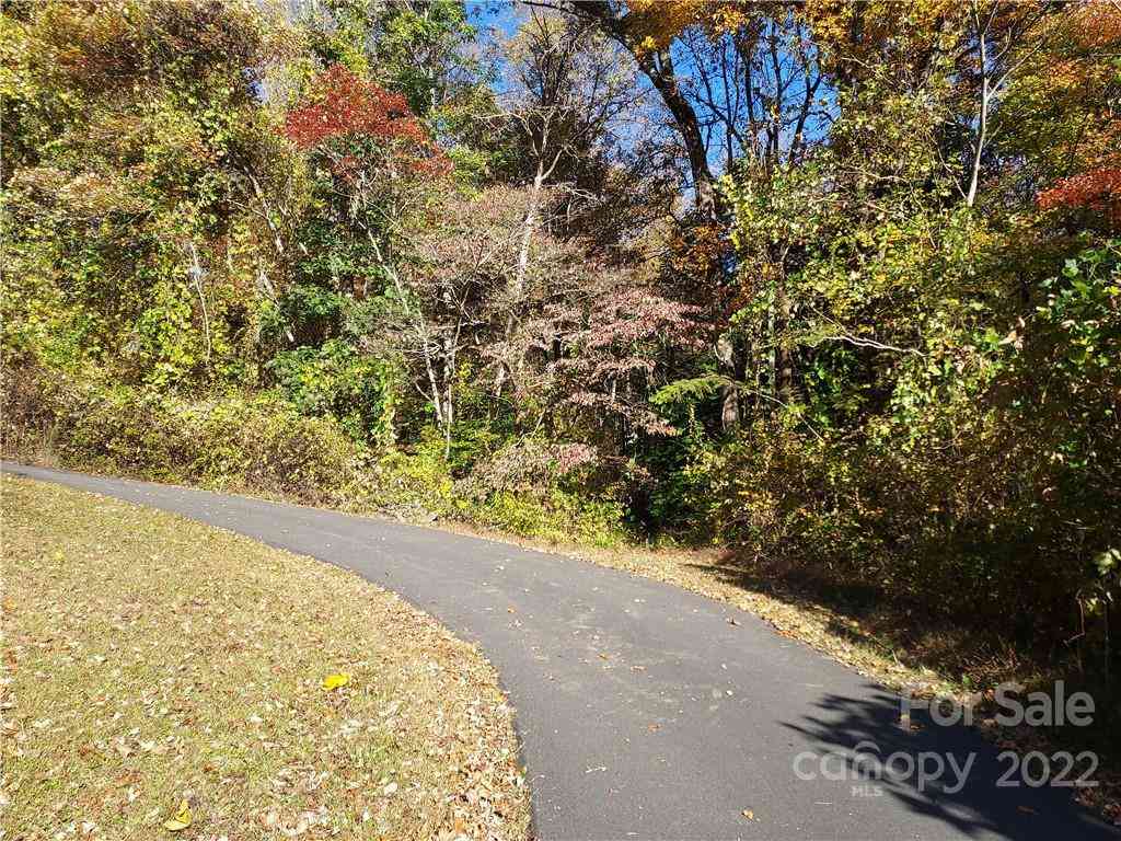 5 Acres Skyuka Road, Columbus, North Carolina image 5