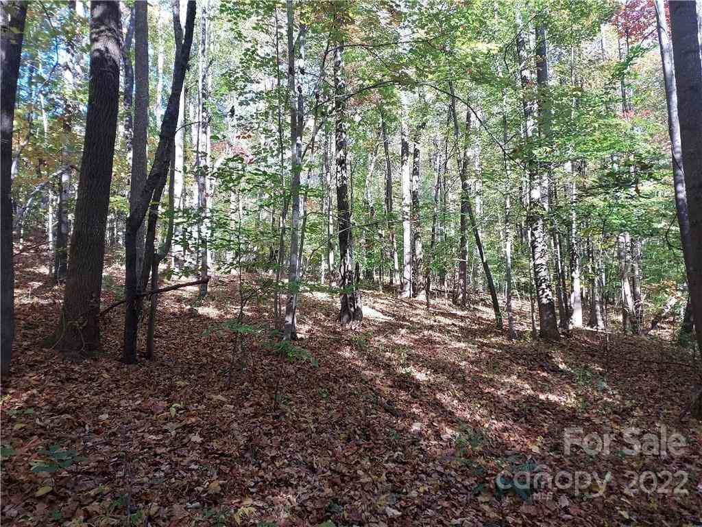 5 Acres Skyuka Road, Columbus, North Carolina image 10