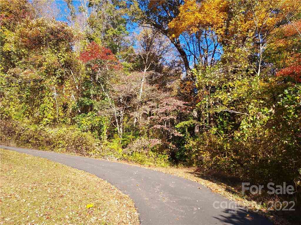 5 Acres Skyuka Road, Columbus, North Carolina image 1