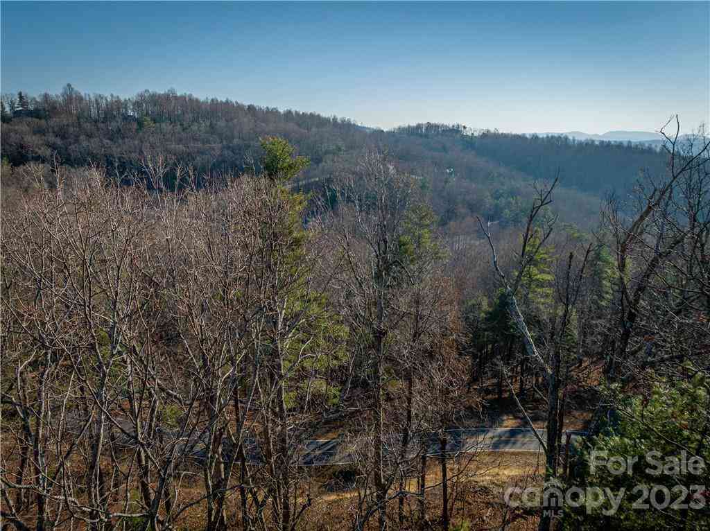 000 Hollybrook Drive #S-15, Flat Rock, North Carolina image 3