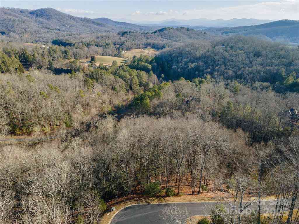 80 Buckhead Trail #27, Horse Shoe, North Carolina image 9