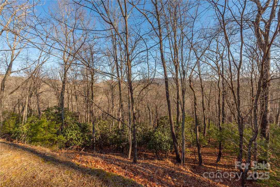 80 Buckhead Trail #27, Horse Shoe, North Carolina image 6