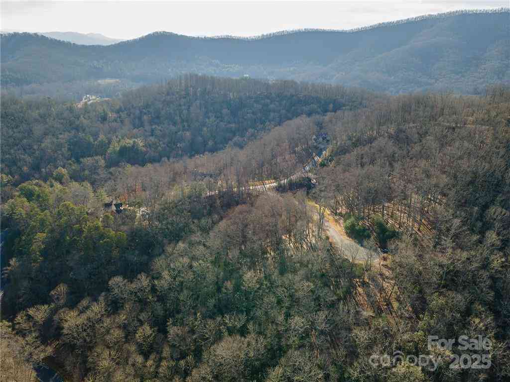 80 Buckhead Trail #27, Horse Shoe, North Carolina image 12