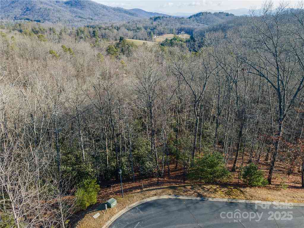 80 Buckhead Trail #27, Horse Shoe, North Carolina image 8