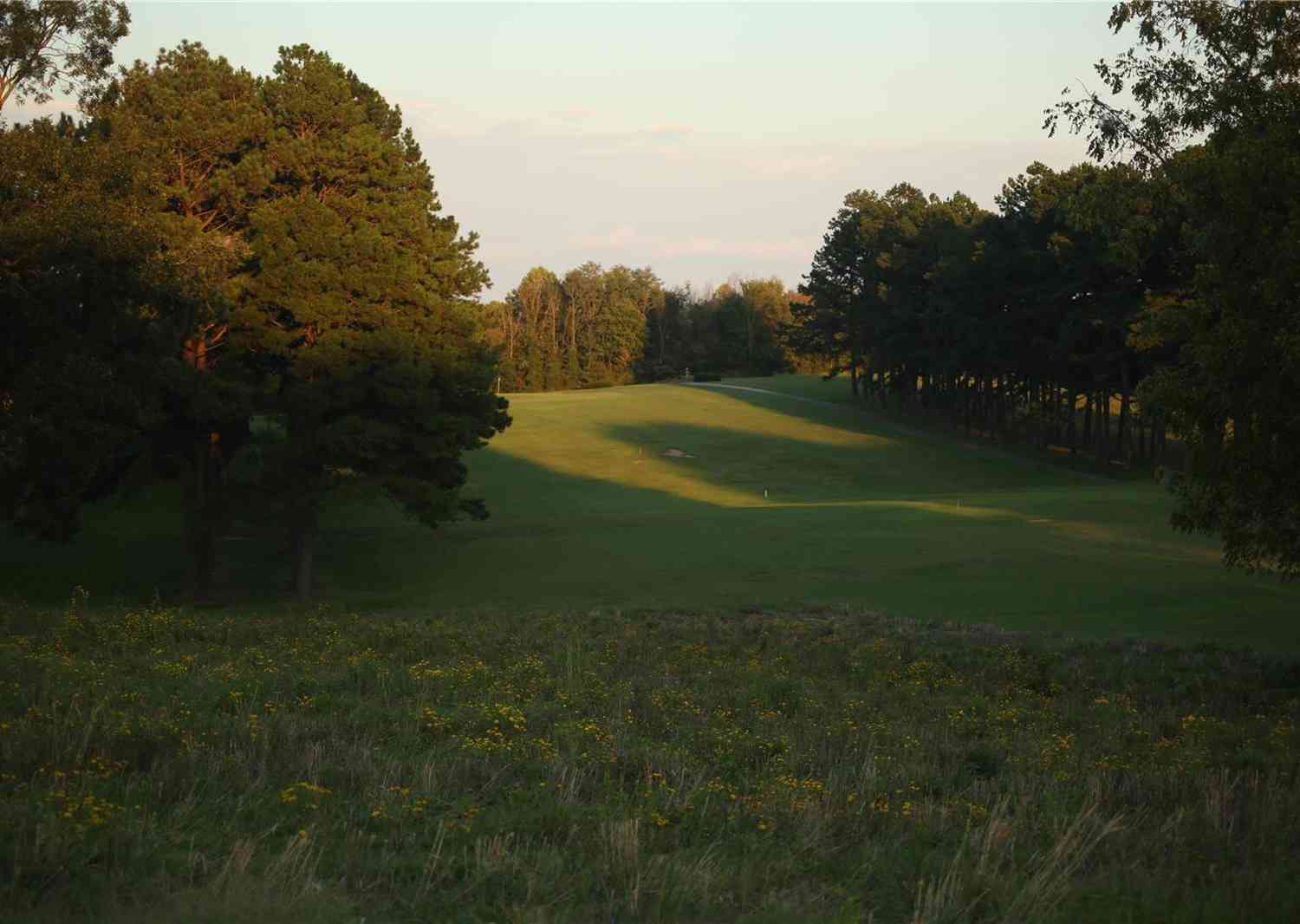 Eagle Court, Ste Genevieve, Missouri image 5