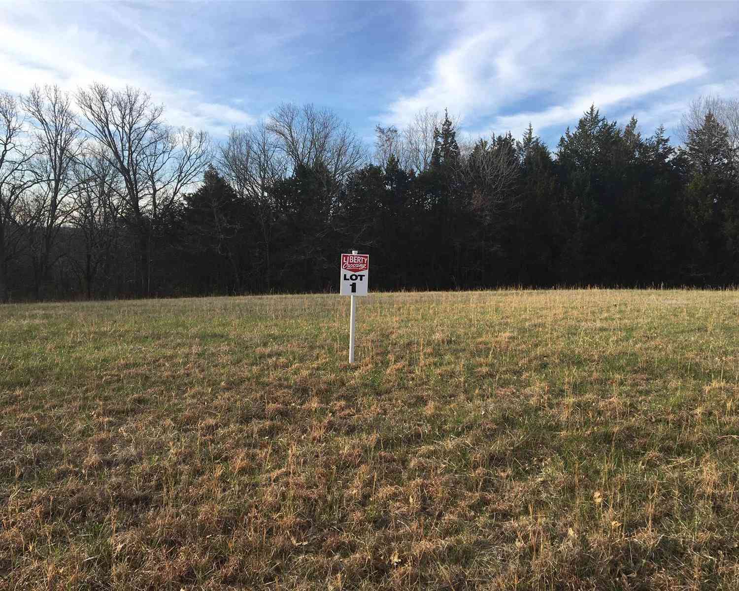 4680 Liberty School Road #LOT 1, Hillsboro, Missouri image 3