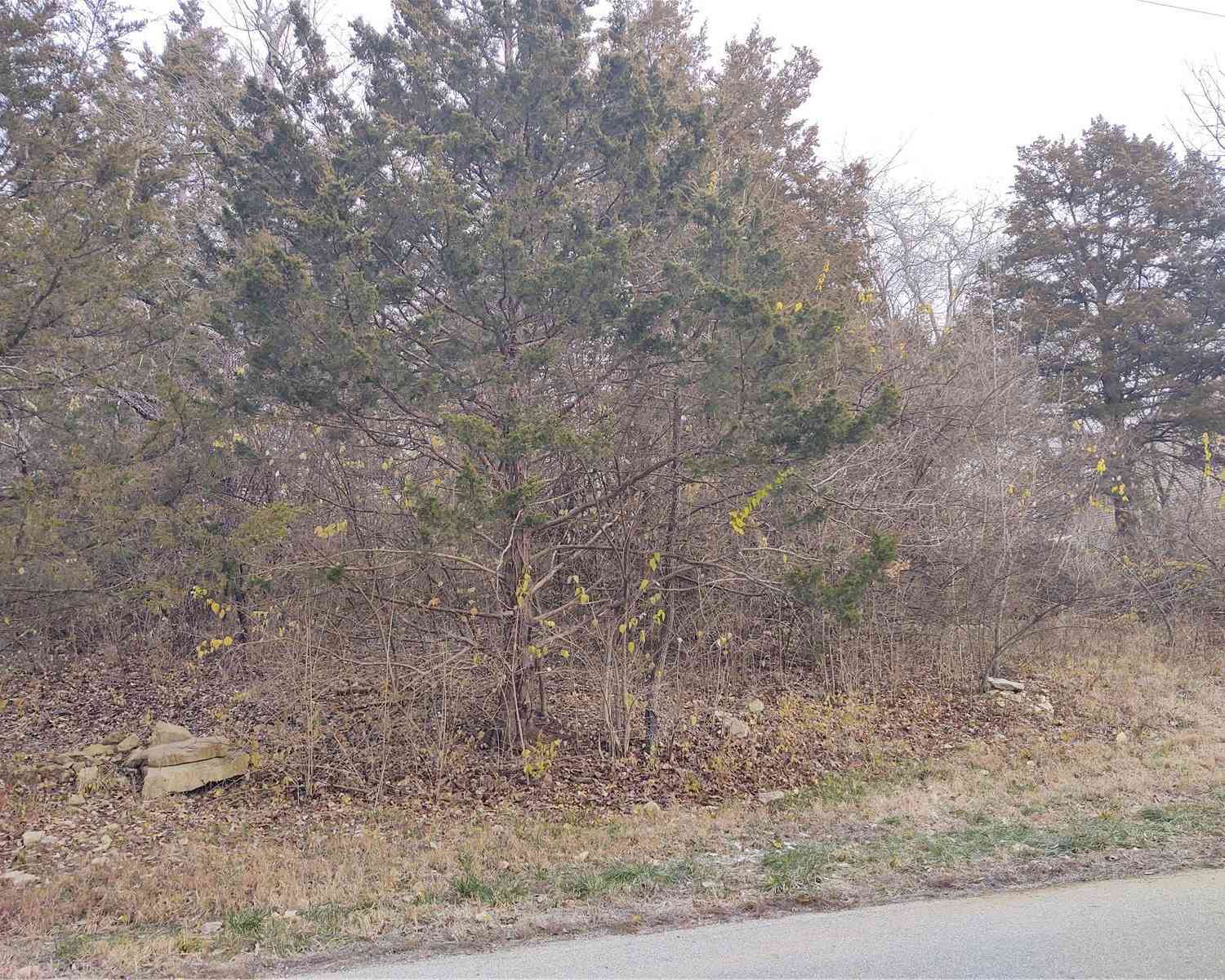 Lot 40 & 41 Fernwood, House Springs, Missouri image 1
