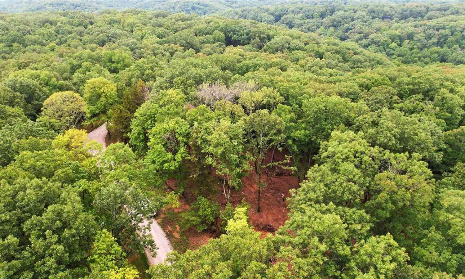 180 Steeple Point Drive #LOT 7, Defiance, Missouri image 12