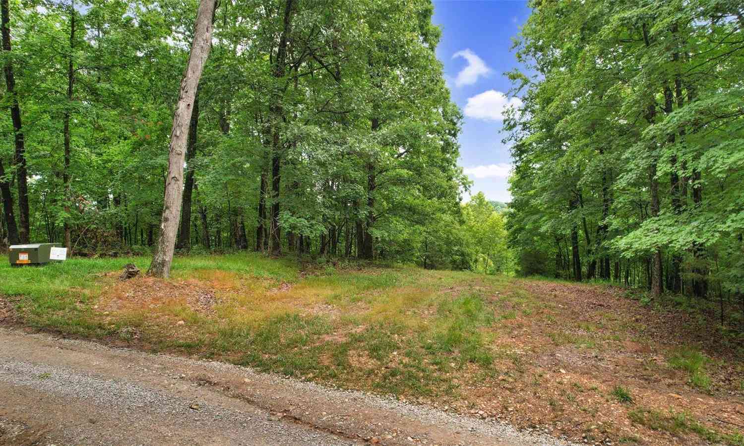 150 Steeple Point Drive #LOT 10, Defiance, Missouri image 9