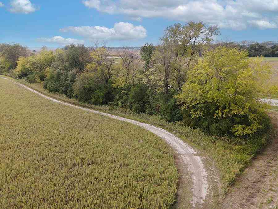 4620 Ashlyn Drive, Pocahontas, Illinois image 9