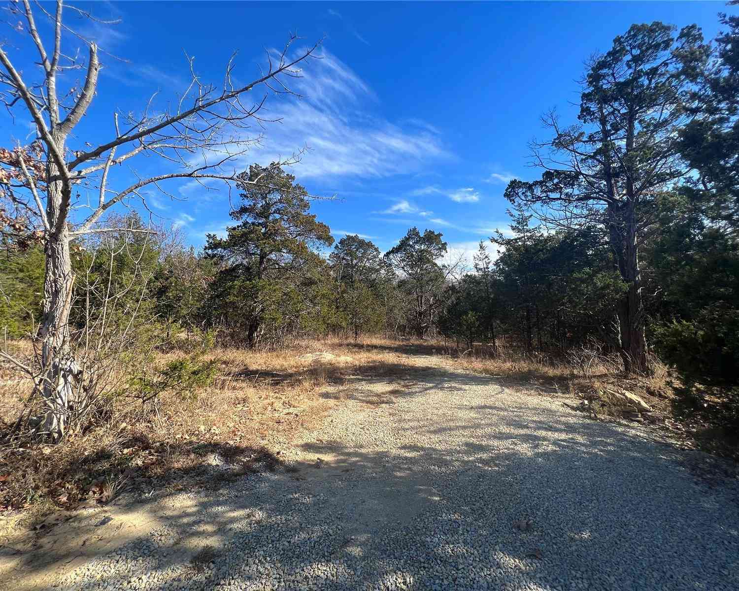 Napoleon Drive, Bonne Terre, Missouri image 7