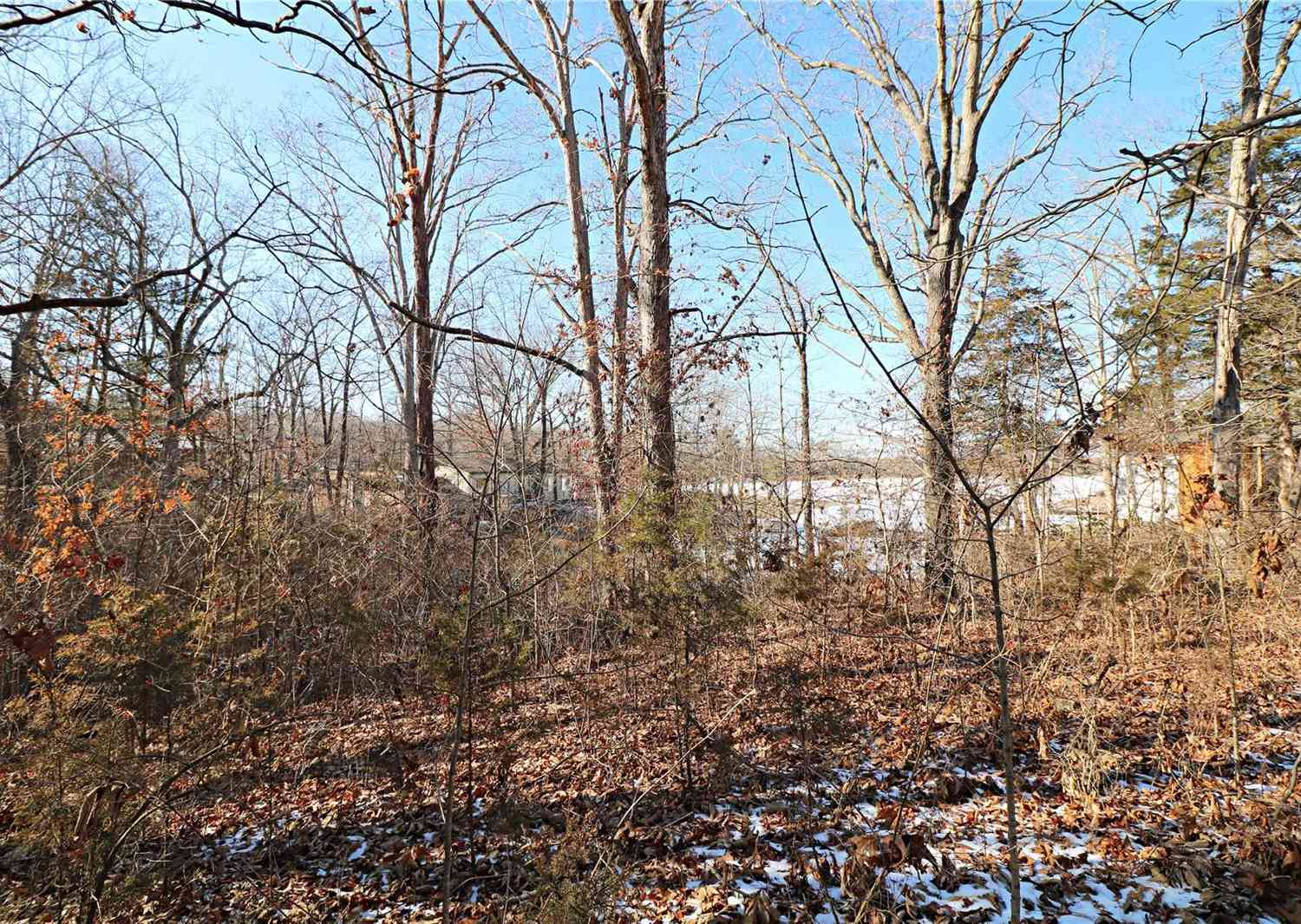 (0.39 Acre Lot) Southlake Drive, De Soto, Missouri image 8