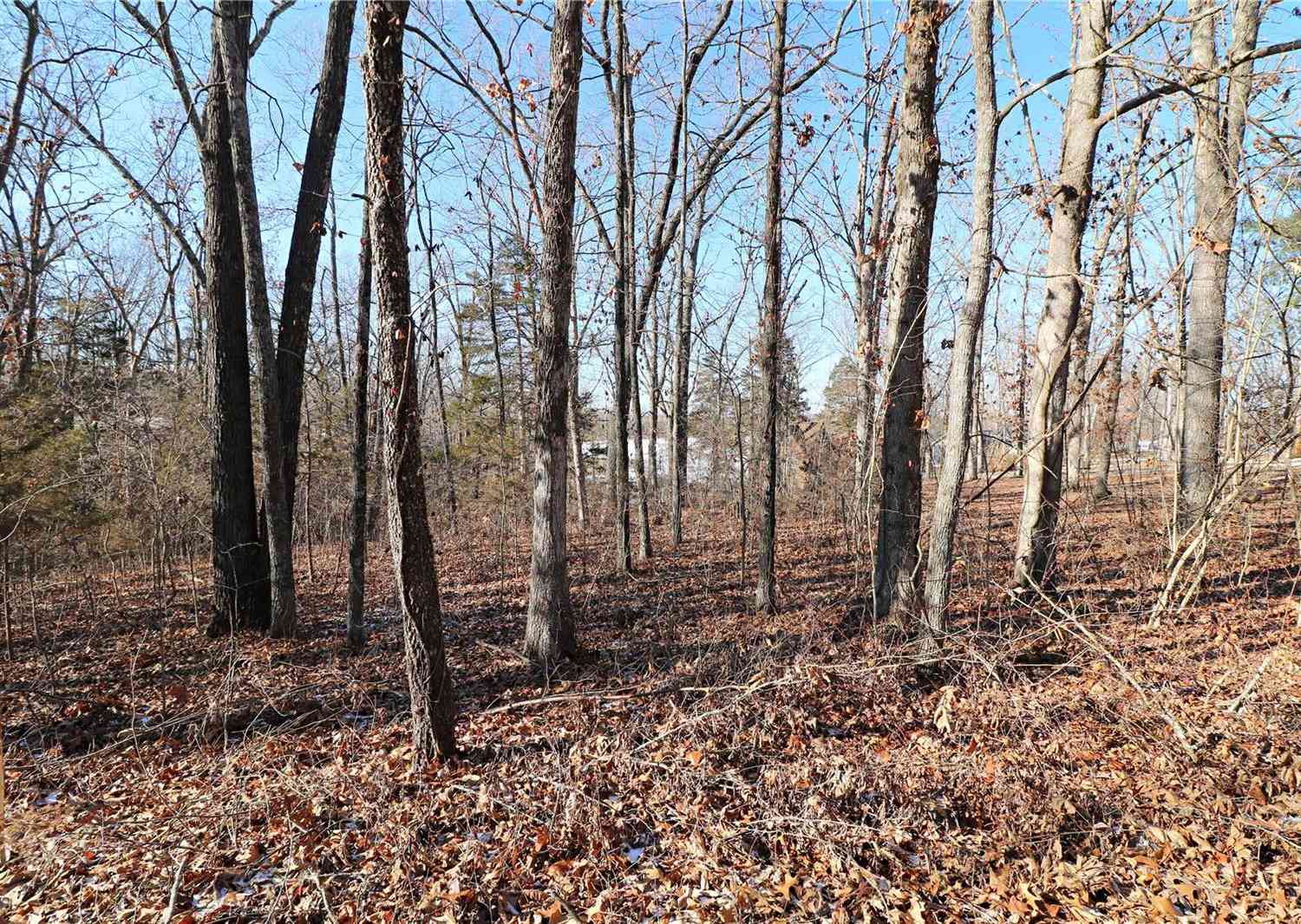 (0.39 Acre Lot) Southlake Drive, De Soto, Missouri image 6