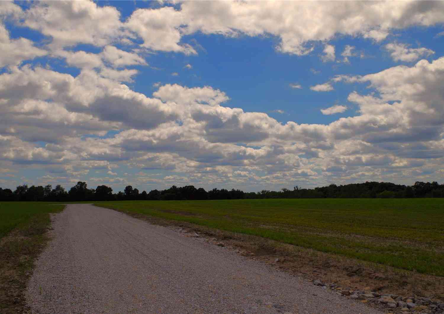 Cheatham Road, Troy, Missouri image 4