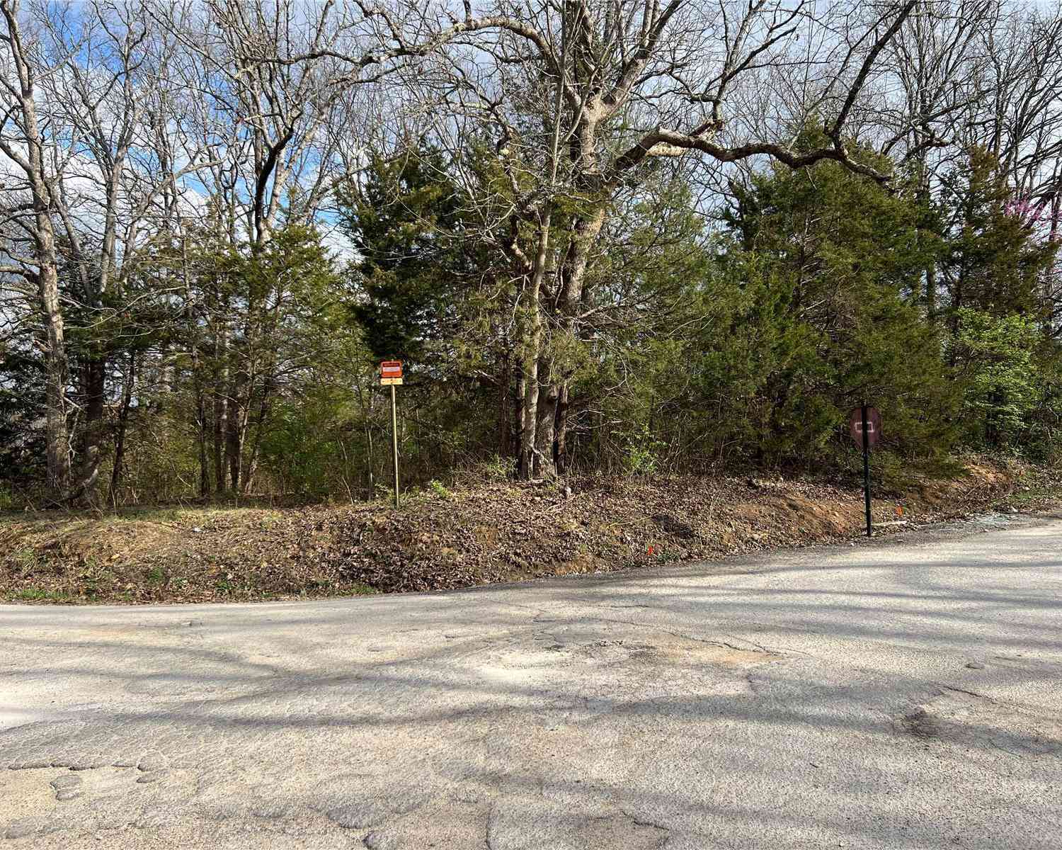 2 Lots On Oak Drive, De Soto, Missouri image 10