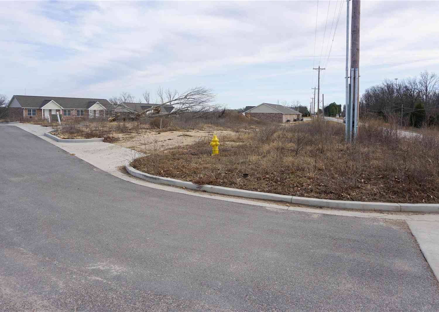 Danata Street Lot 9, Rolla, Missouri image 2