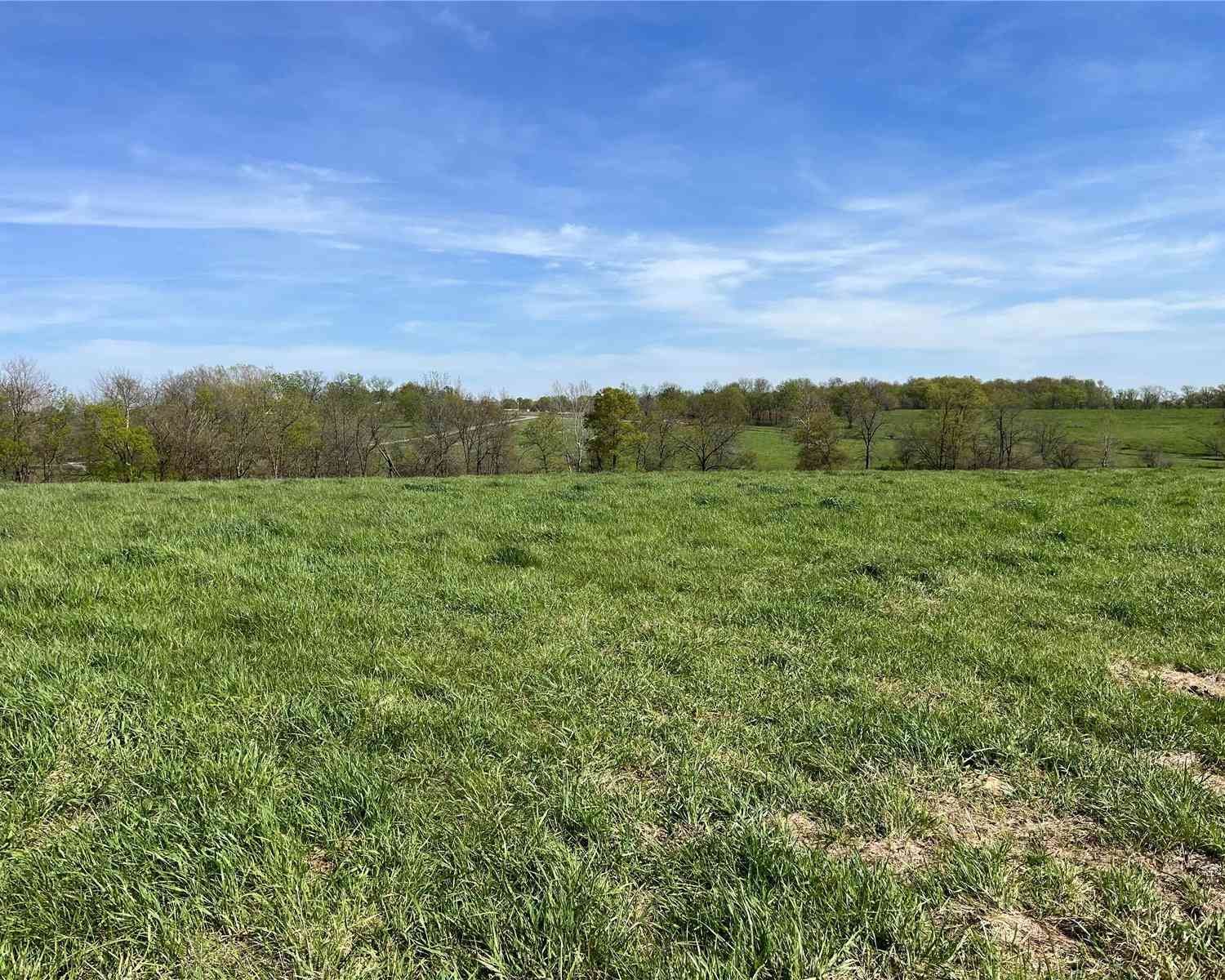 Lot 10 Big Valley Drive, Bowling Green, Missouri image 13