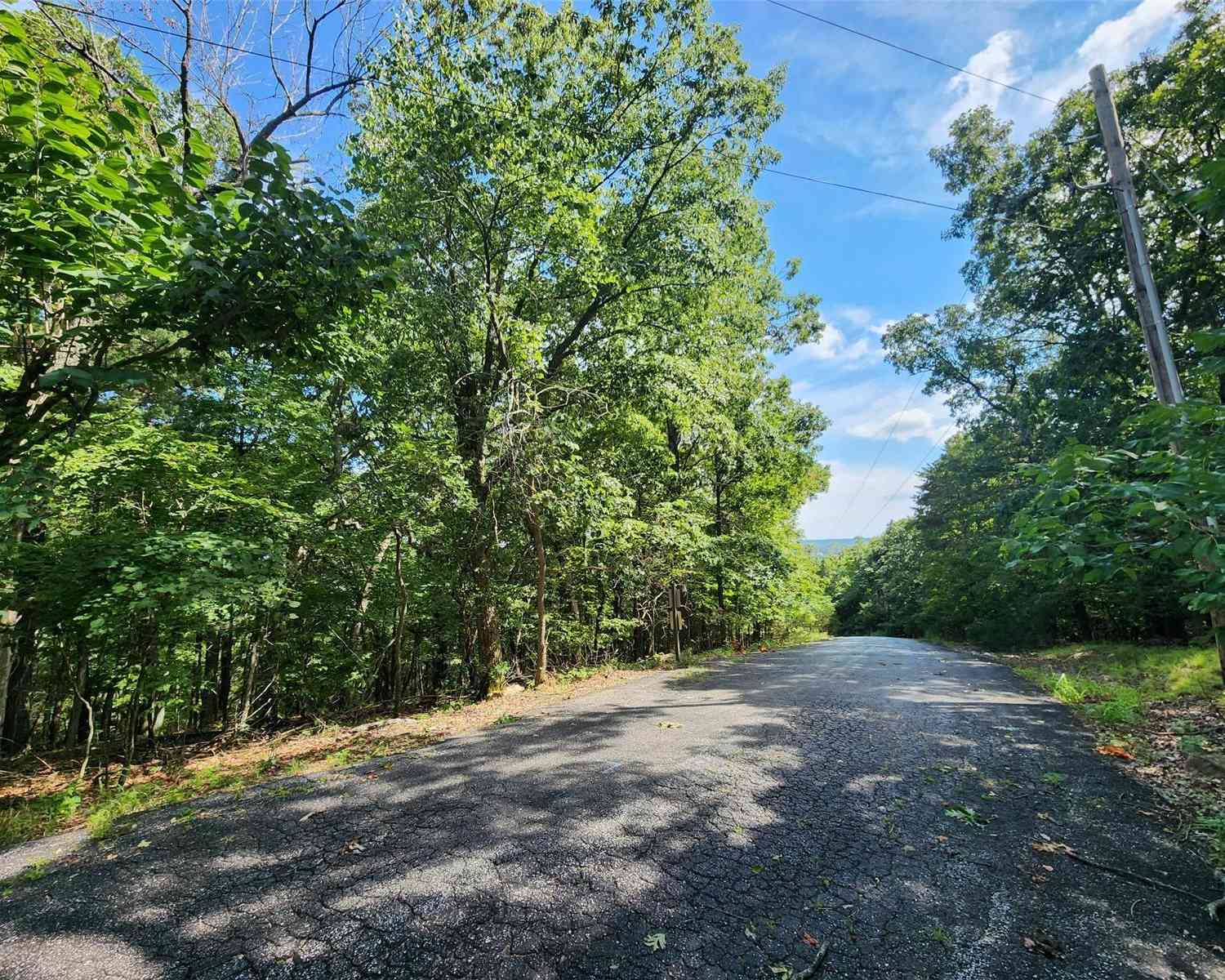 Athlone Ct 3.98 Ac, Cedar Hill, Missouri image 10