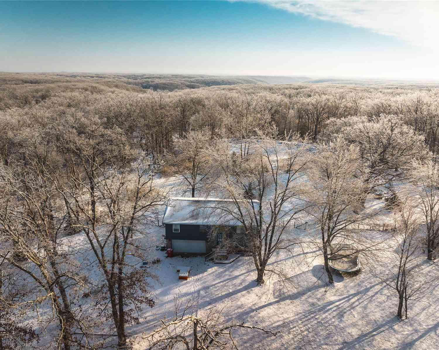 17328 Cashew Lane, Dixon, Missouri image 4