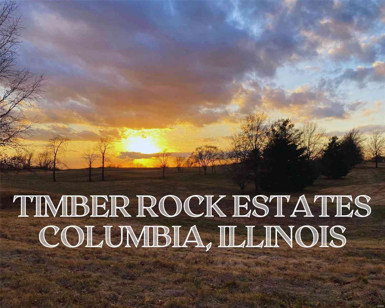 Timber Rock Lot 16, Columbia, Illinois image 1