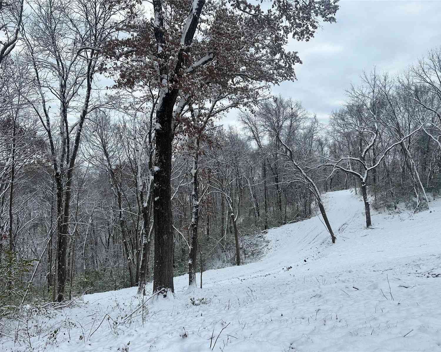 Old Hwy 100, Washington, Missouri image 26