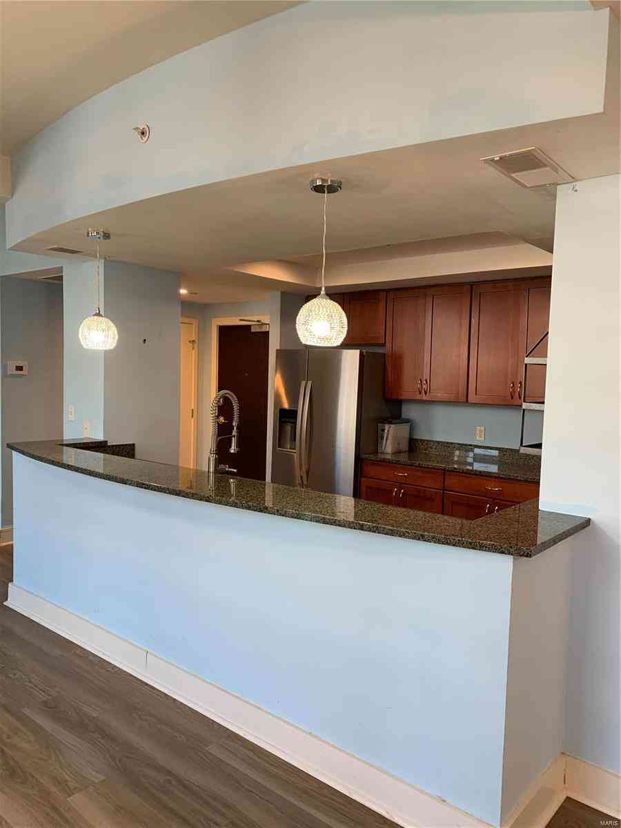 300 N Broadway #1402, Saint Louis, Missouri image 7