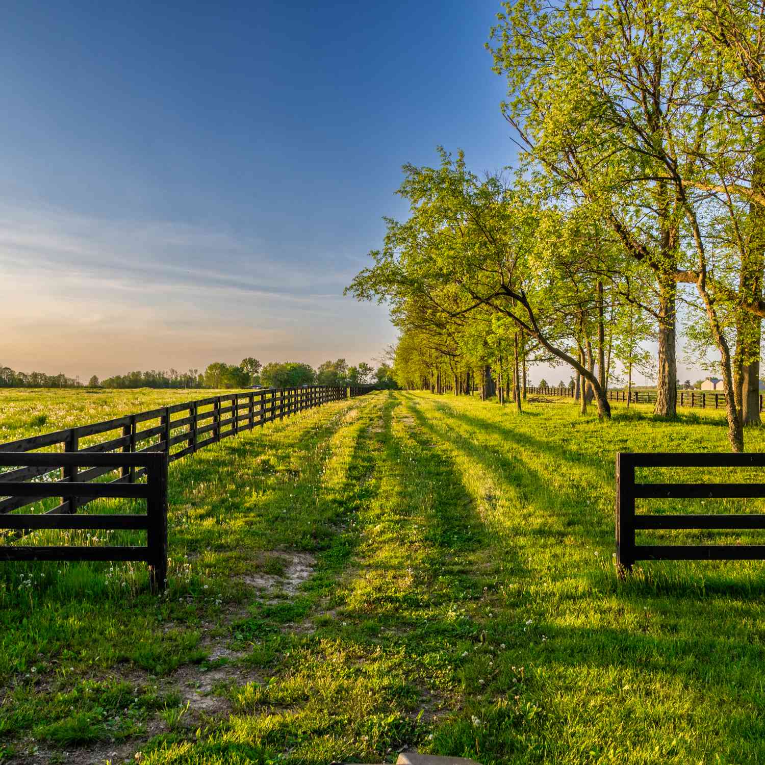 9435 Windy Hills Drive, Zionsville, Indiana image 16