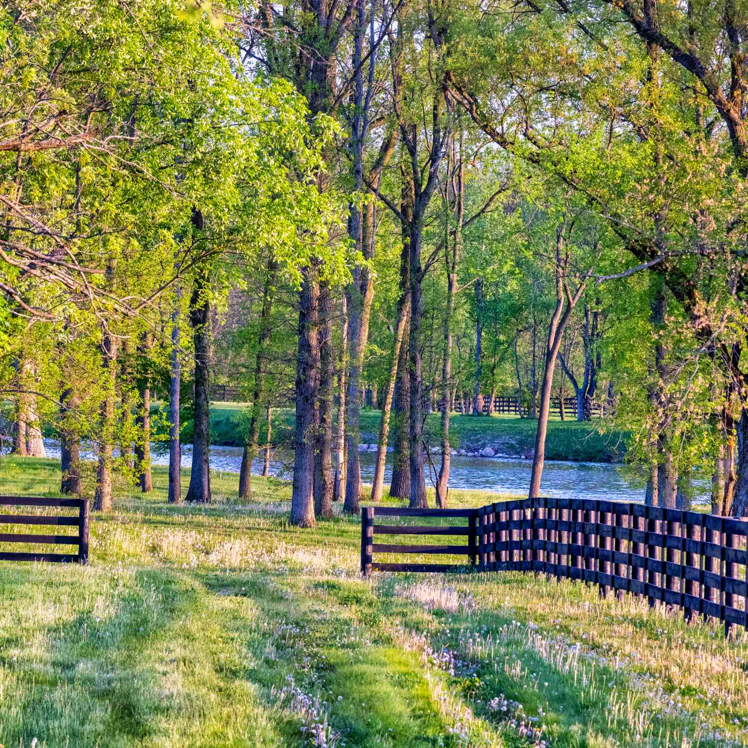 9435 Windy Hills Drive, Zionsville, Indiana image 15