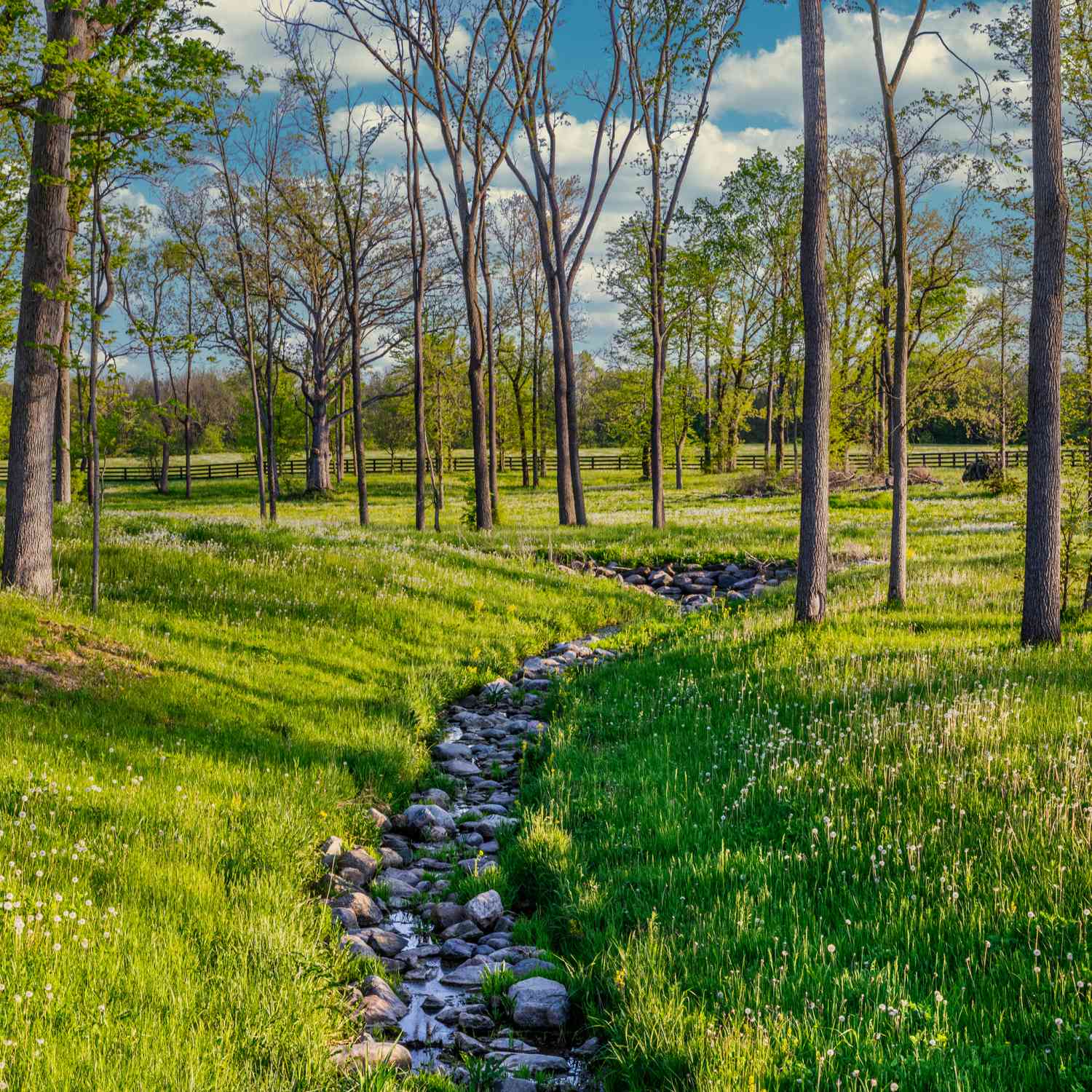 9435 Windy Hills Drive, Zionsville, Indiana image 17