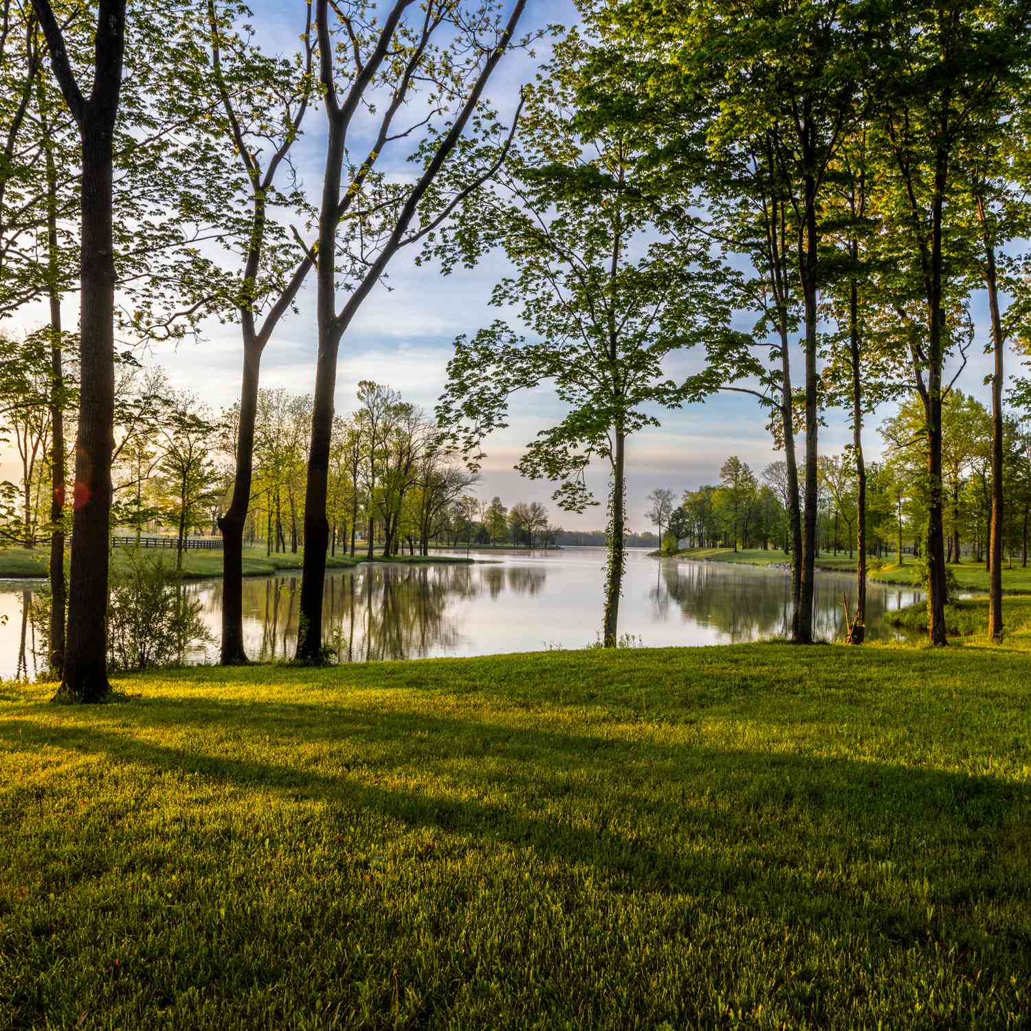 9435 Windy Hills Drive, Zionsville, Indiana image 13