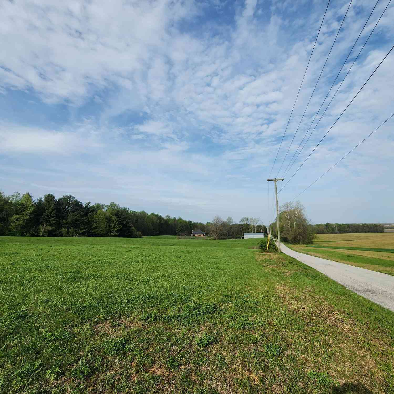 Tract 5 - 7000 BLK E County Road 50 North, Seymour, Indiana image 7