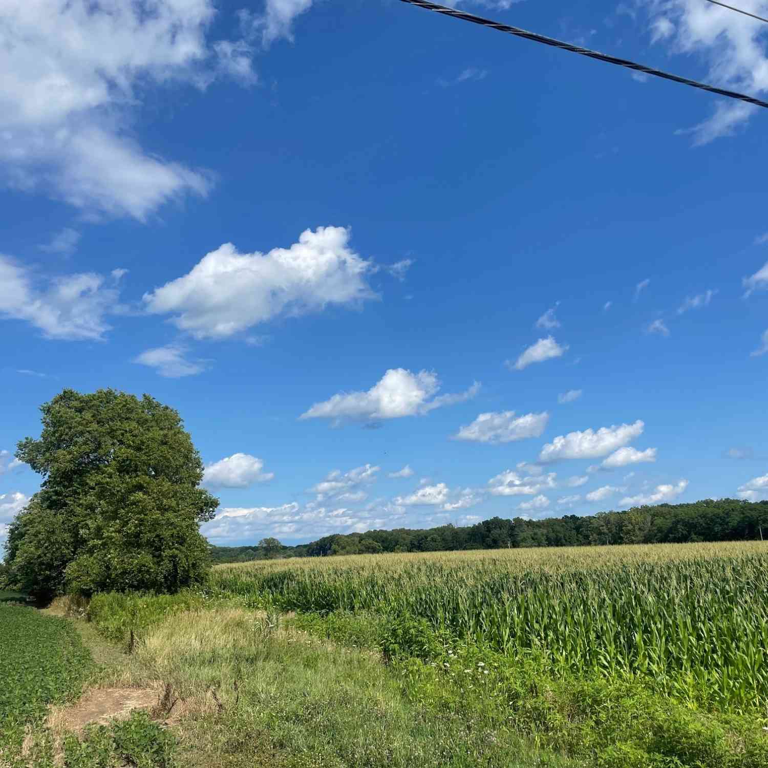 TBD 775 West Co Rd 150 South, Danville, Indiana image 8