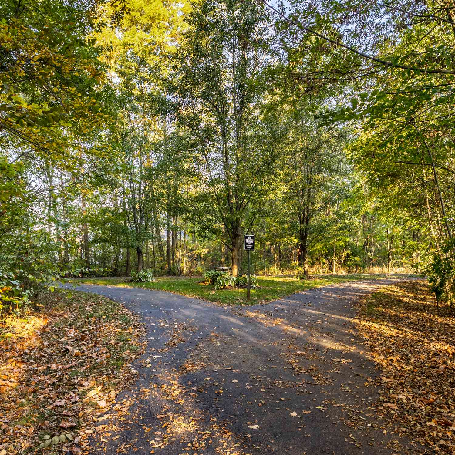 12786 Bardolino Drive, Fishers, Indiana image 39