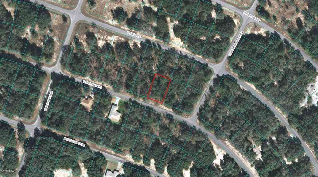 00 Fisher Way Trail, OCKLAWAHA, Florida image 1