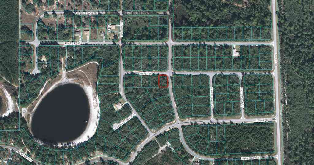 00 Fisher Place, OCKLAWAHA, Florida image 1