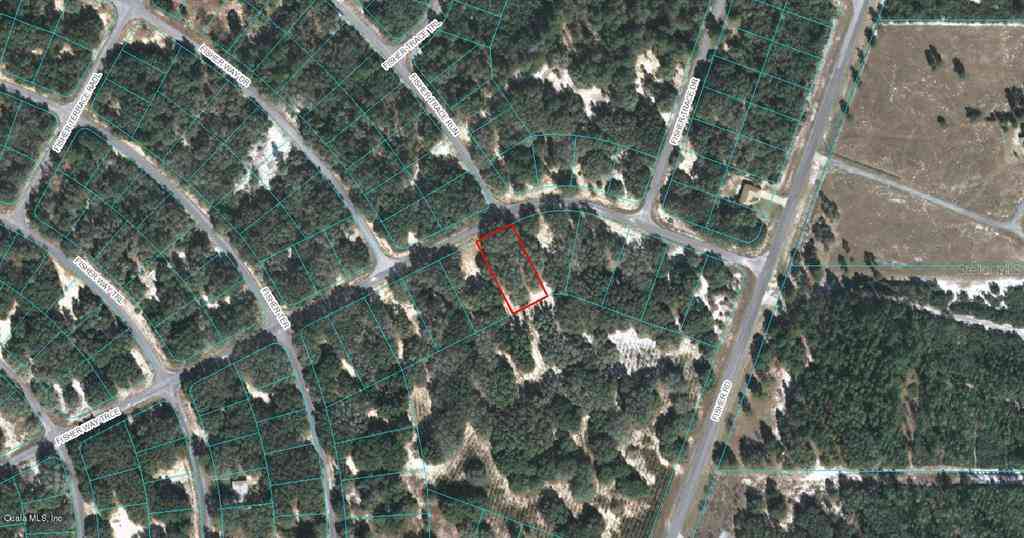 00 Fisher Way Trace, OCKLAWAHA, Florida image 1