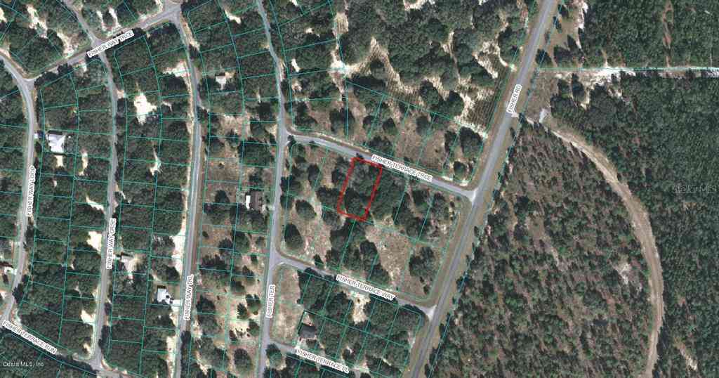 00 Fisher Terrace Trace, OCKLAWAHA, Florida image 1