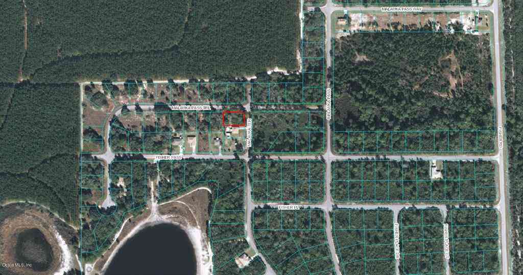 00 Malauka Terrace, OCKLAWAHA, Florida image 1