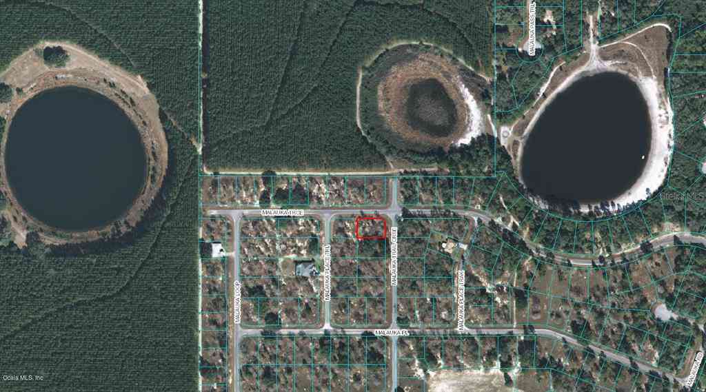 00 Malauka Trail Course, OCKLAWAHA, Florida image 1